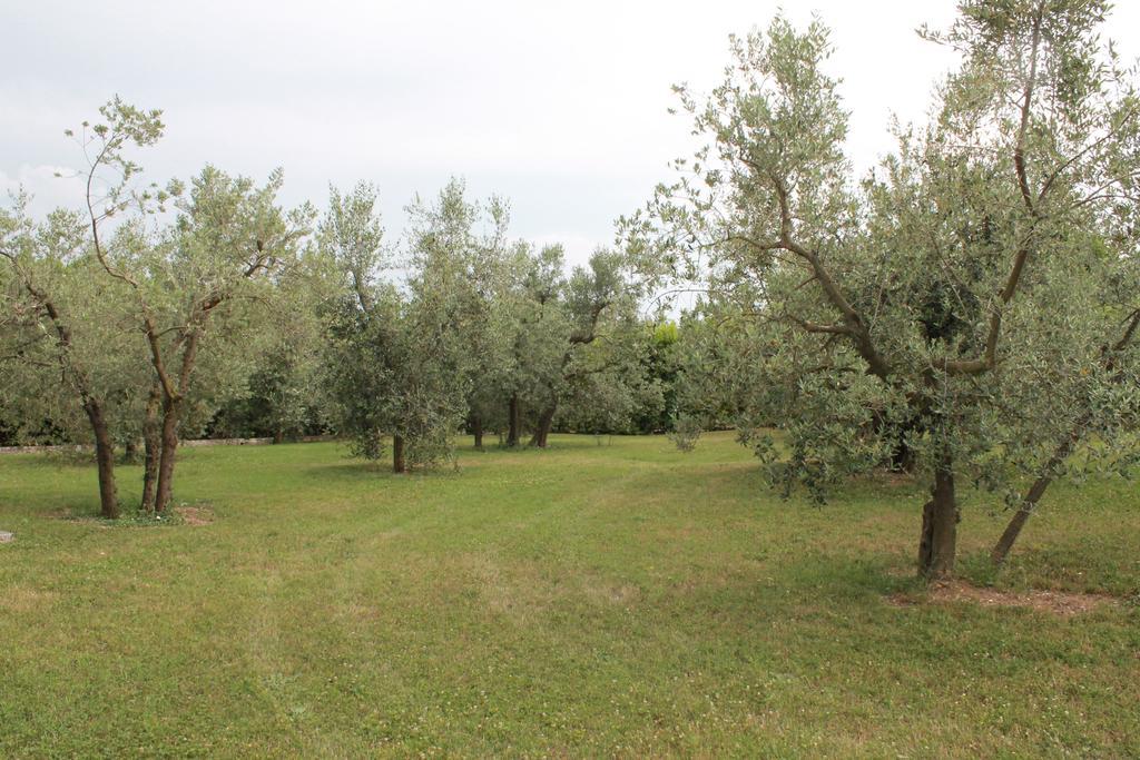 Agriturismo Piano Grande Avigliano Umbro Rom bilde